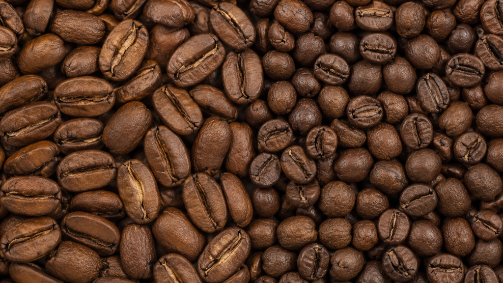 arabica-robusta-razlika-naslovna.png