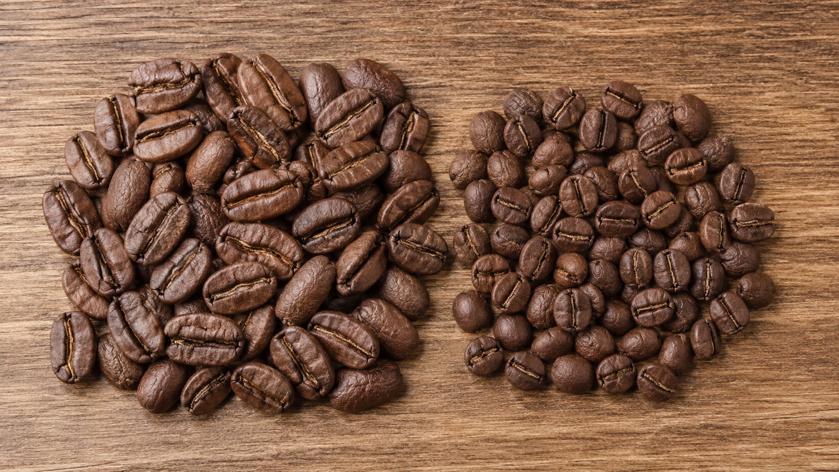 arabica-robusta-zrna-poredjenje.png